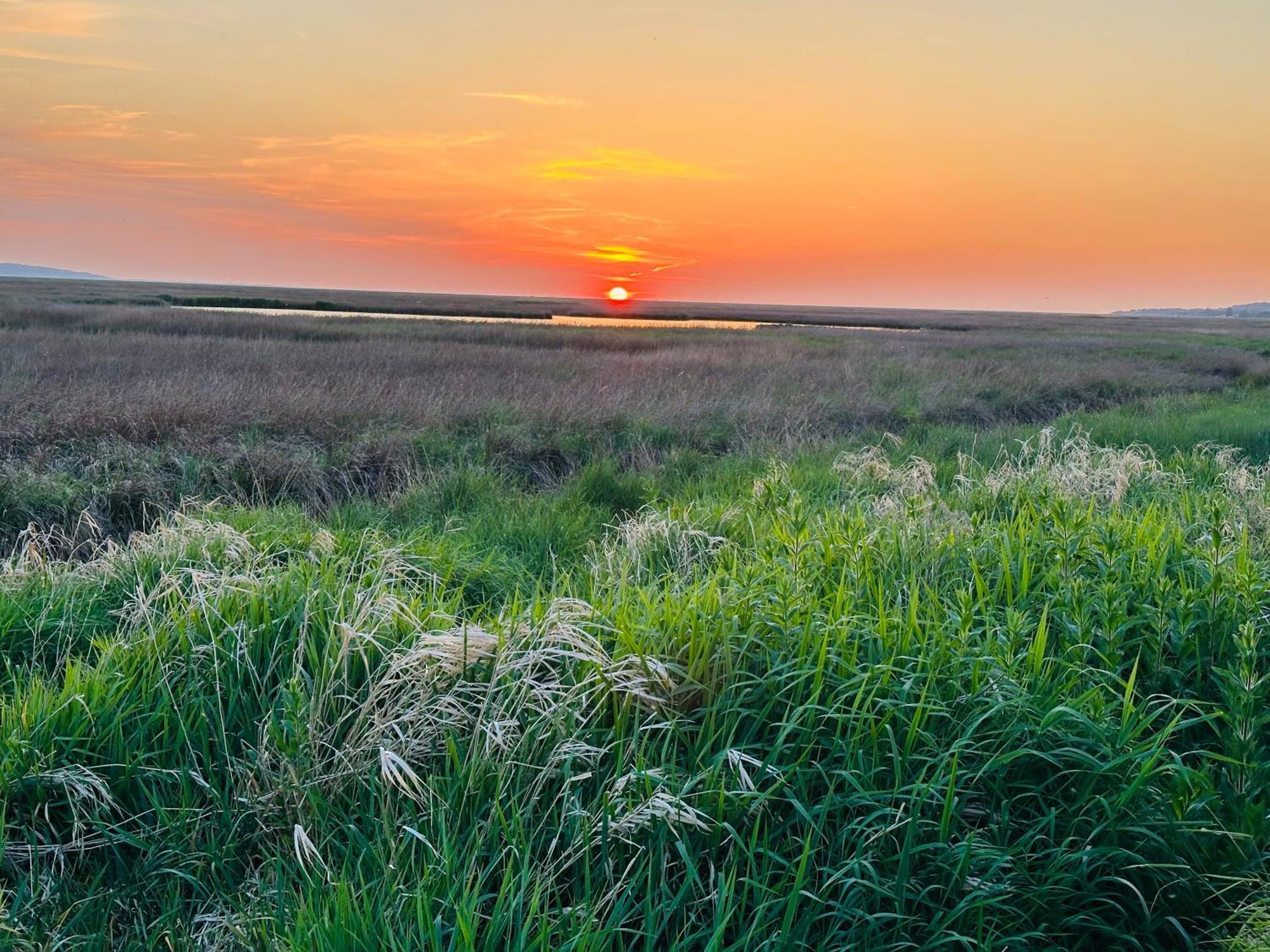 The Rambler'S Rest Cottage, Parkgate, Wirral Parkgate  Екстериор снимка
